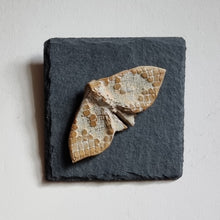 Load image into Gallery viewer, Glazed Stoneware Moth on slate tile to hang on the wall.
