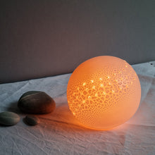 Load image into Gallery viewer, 'Spined Sea Urchin' Porcelain Lamp

