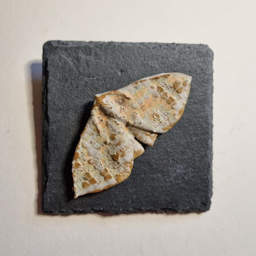 Glazed Stoneware Moth on slate tile to hang on the wall.