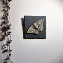 Load image into Gallery viewer, Black Stoneware Moth on slate tile to hang on the wall.
