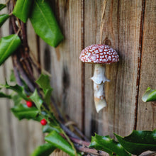 Load image into Gallery viewer, Fungi with a red cap on a wooden surface with green leaves and berries.
