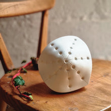 Load image into Gallery viewer, Porcelain Sea Urchin Lamp, star shaped design on diamond shaped lamp.
